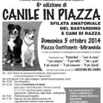 6° EDIZIONE CANILE IN PIAZZA 05/10/2014