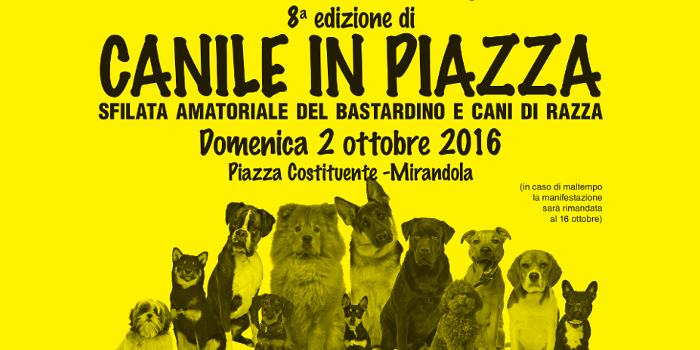 Canile in Piazza 2016