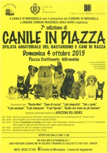 Canile in Piazza 2015
