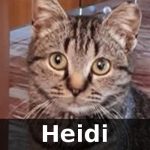 Heidi adottata!