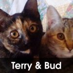 Terry & Bud